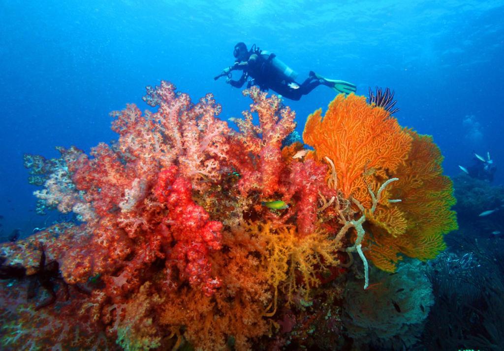 Bella Villa Coron Bagian luar foto